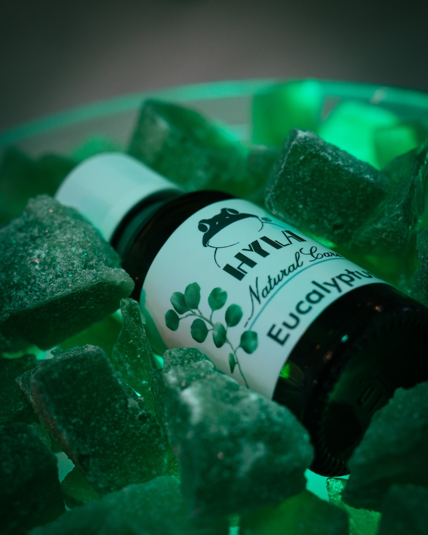 Shooting produits HYLA pour @amel.sandadi 📸
@hylaevolution
@hyla.international
__
#photoproduct #photoproduit #shootingproduit #huilesessentielles #essentialoil